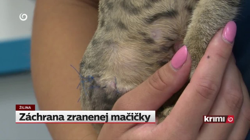 Zlodeji s košmi na odpadky