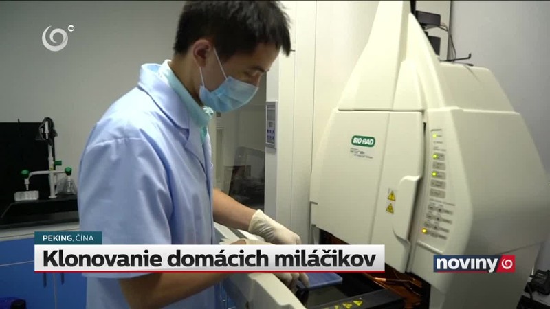 Klonovanie domácich miláčikov