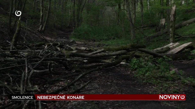 NEBEZPEČNÉ KONÁRE