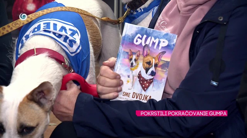 POKRSTILI POKRAČOVANIE GUMPA,