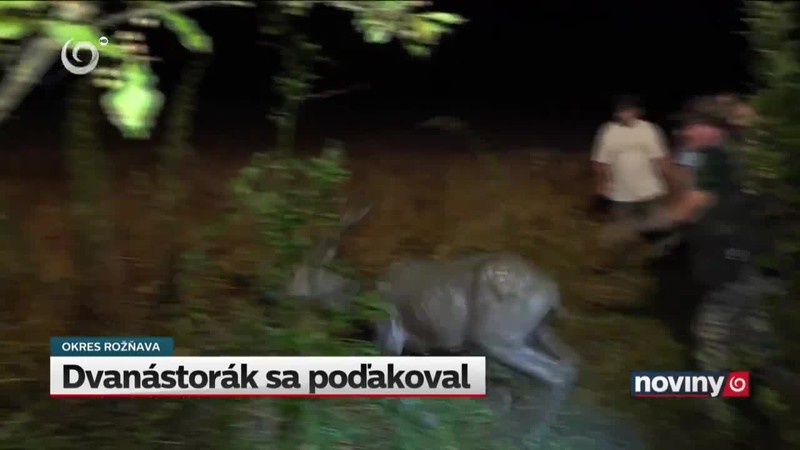 Požiar lesov na Sibíri pokračuje