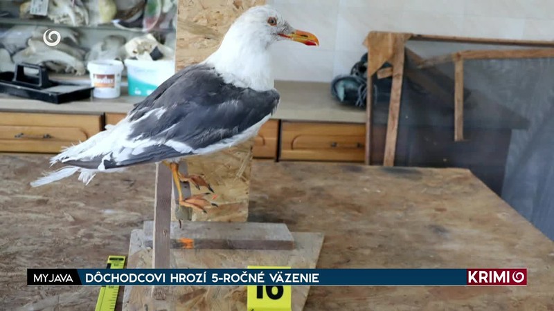 DÔCHODCOVI HROZÍ 5-ROČNÉ VÄZENIE