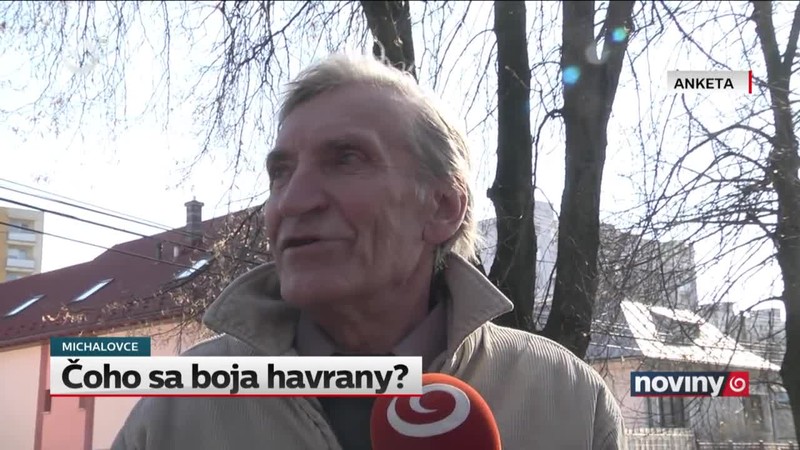 Čoho sa boja havrany?