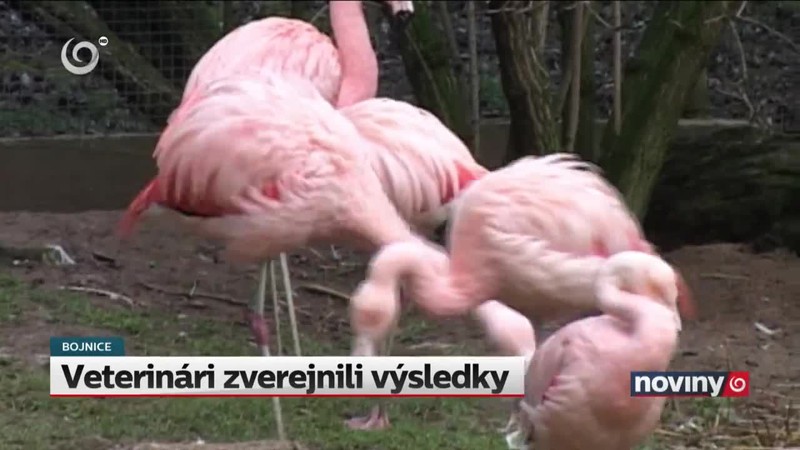 Veterinári zverejnili výsledky