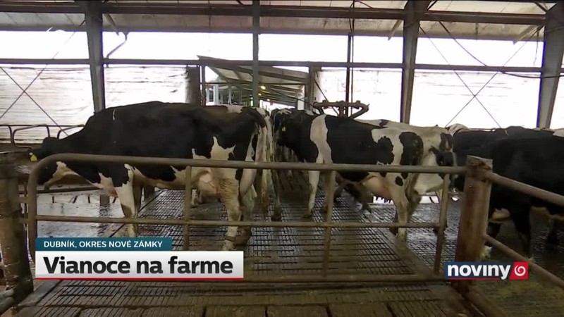 Vianoce na farme