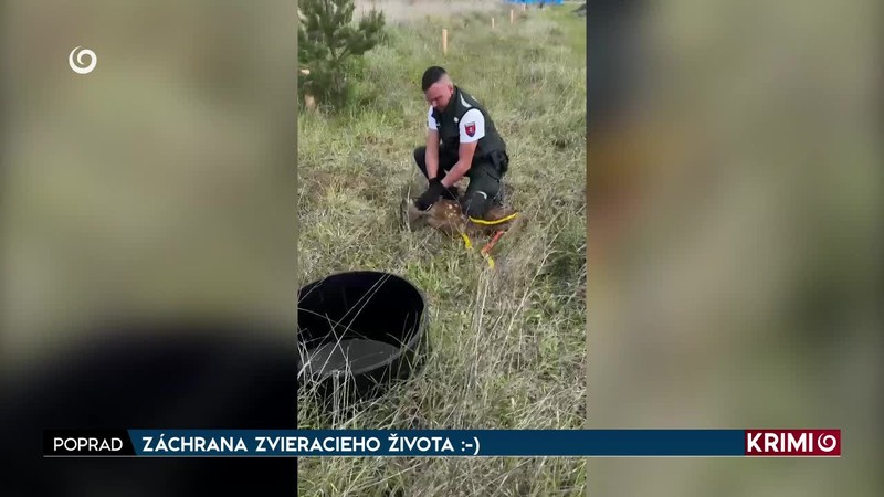 ZÁCHRANA ZVIERACIEHO ŽIVOTA :-)