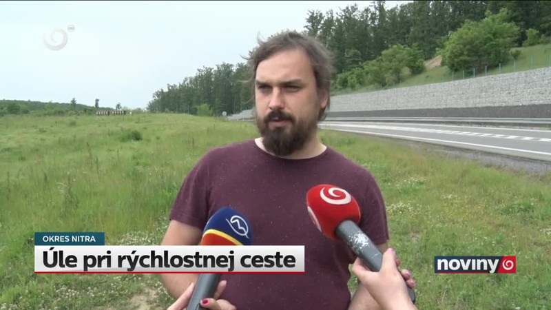 Úle pri rýchlostnej ceste