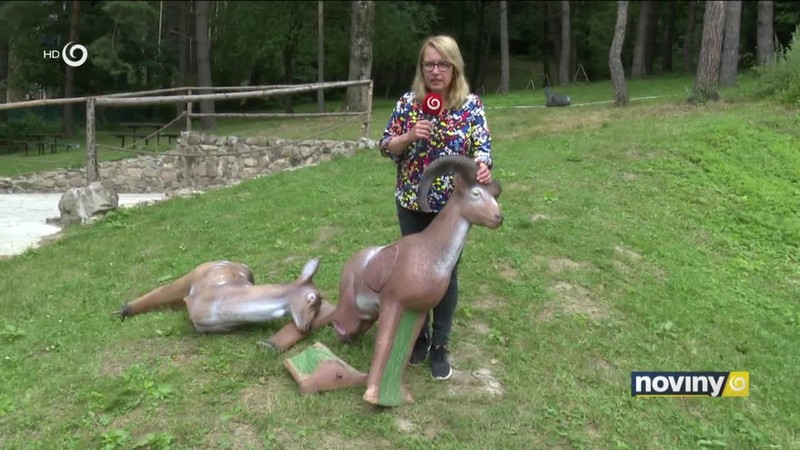 Medvedica útočila na terče