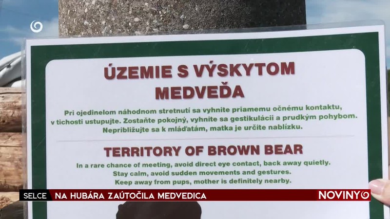 NA HUBÁRA ZAÚTOČILA MEDVEDICA