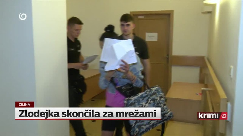 Zlodejka skončila za mrežami