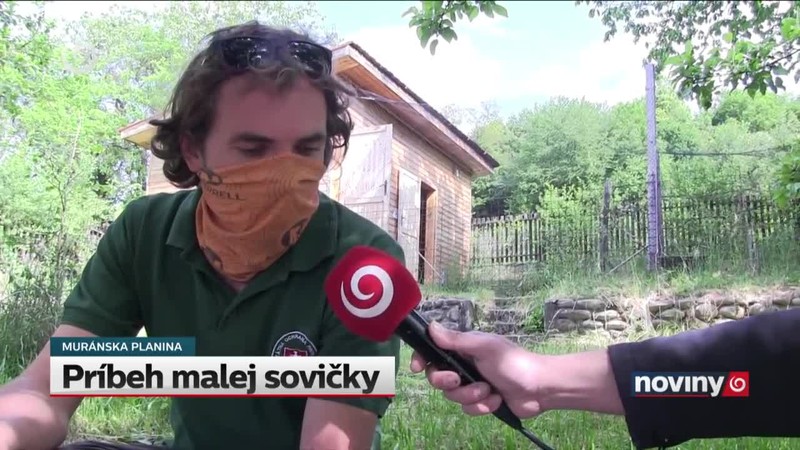 Príbeh malej sovičky