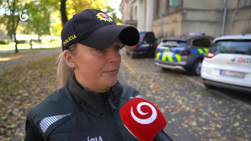 POMEDZI STROMY S ALKOHOLOM BEZ NEHODY