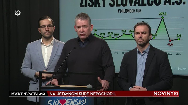 NA ÚSTAVNOM SÚDE NEPOCHODIL