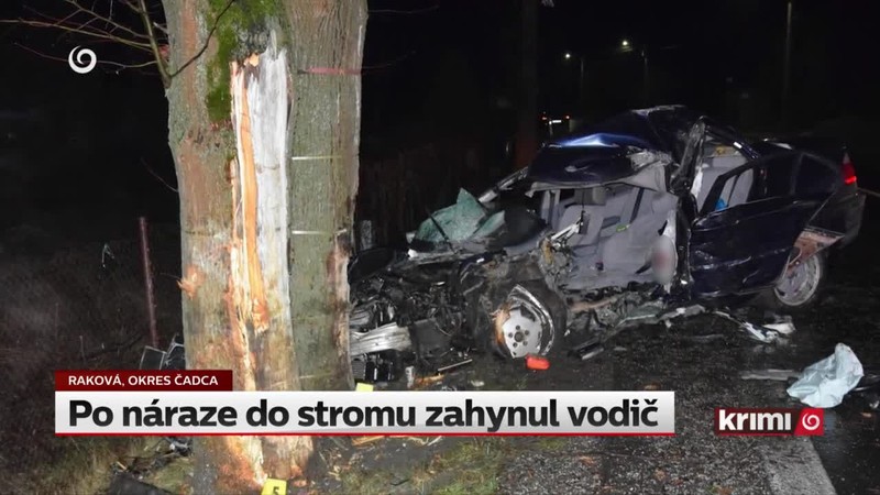 Po náraze do stromu zahynul vodič
