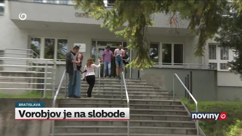 Vorobjov je na slobode