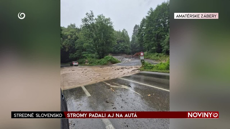 STROMY PADALI AJ NA AUTÁ