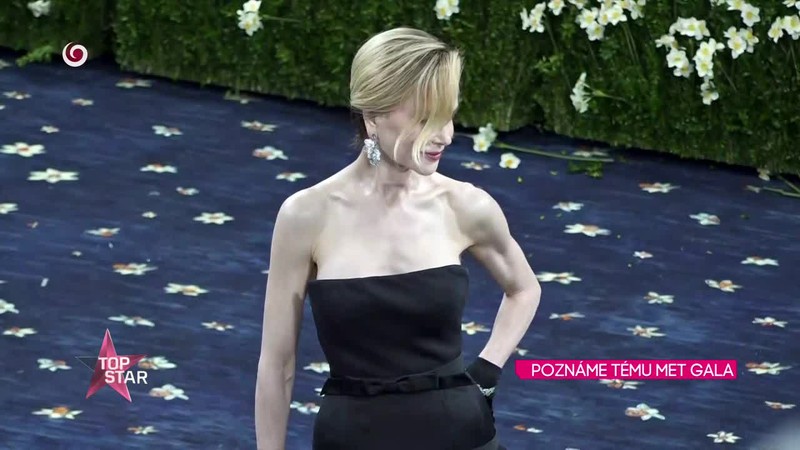 POZNÁME TÉMU MET GALA