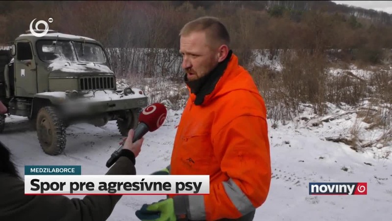 Spor pre agresívne psy