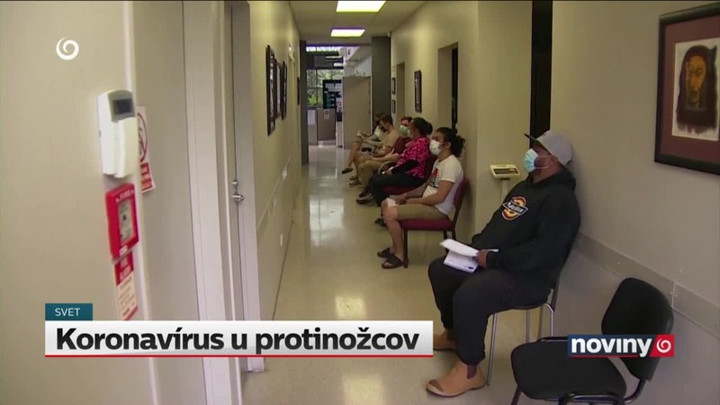 Koronavírus u protinožcov