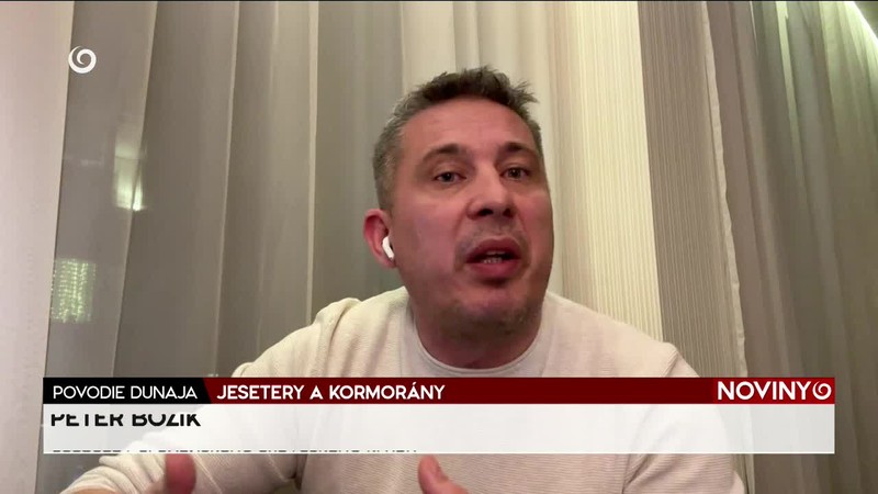 JESETERY A KORMORÁNY