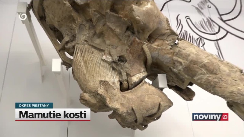 Mamutie kosti