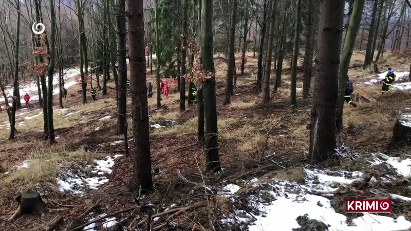 POMÔŽTE QVIDOVI S LIEČBOU!