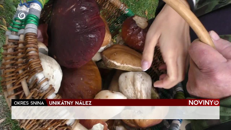 UNIKÁTNY NÁLEZ