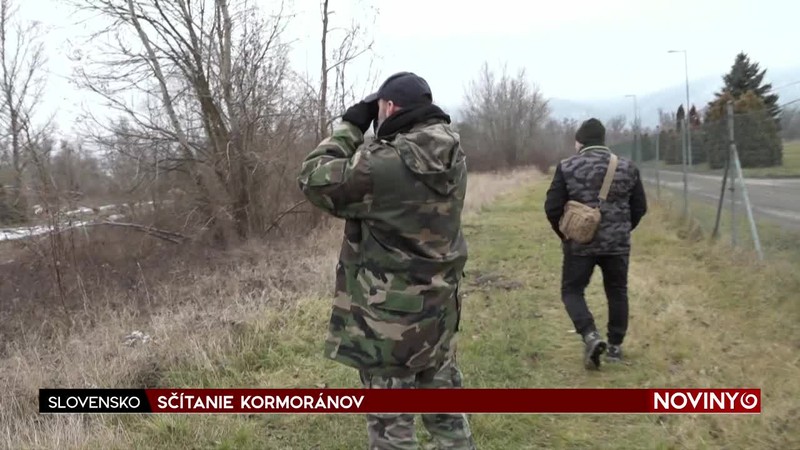 SČÍTANIE KORMORÁNOV