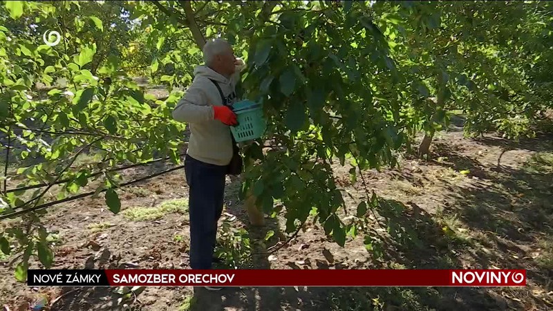 SAMOZBER ORECHOV