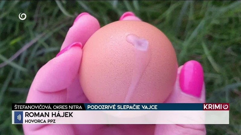 PODOZRIVÉ SLEPAČIE VAJCE