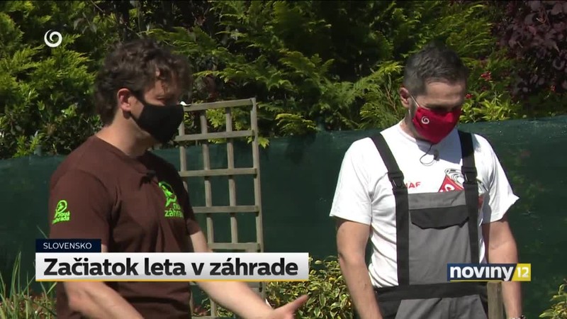 Začiatok leta v záhrade