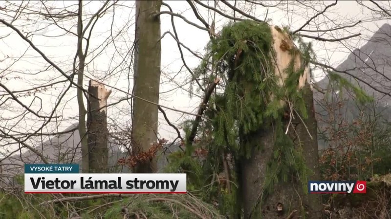 Vietor lámal stromy