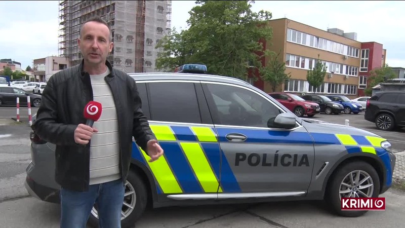 ROZHODOVANIE O VÄZBE V PRÍPADE DÝKA