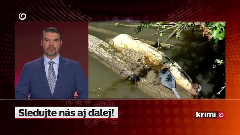 Po mesiacoch vo väzbe je na slobode