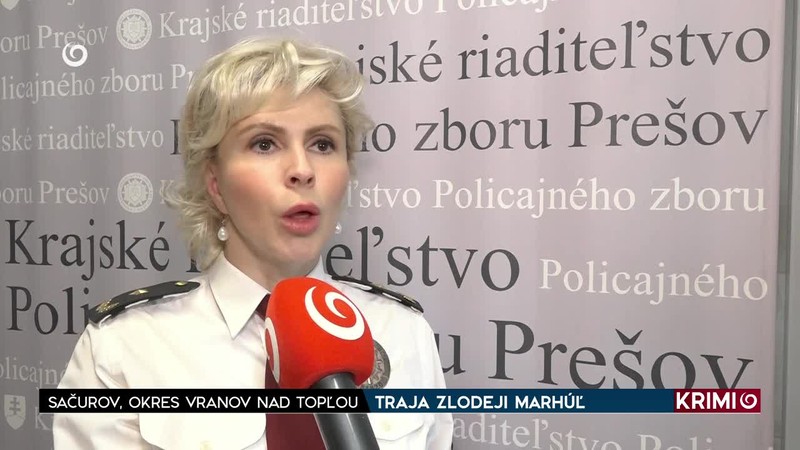 TRAJA ZLODEJI MARHÚĽ