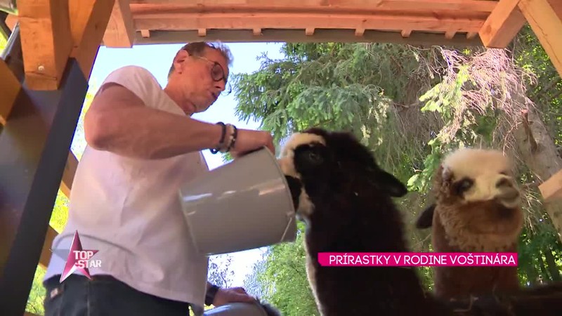 Prírastky v rodine Voštinára