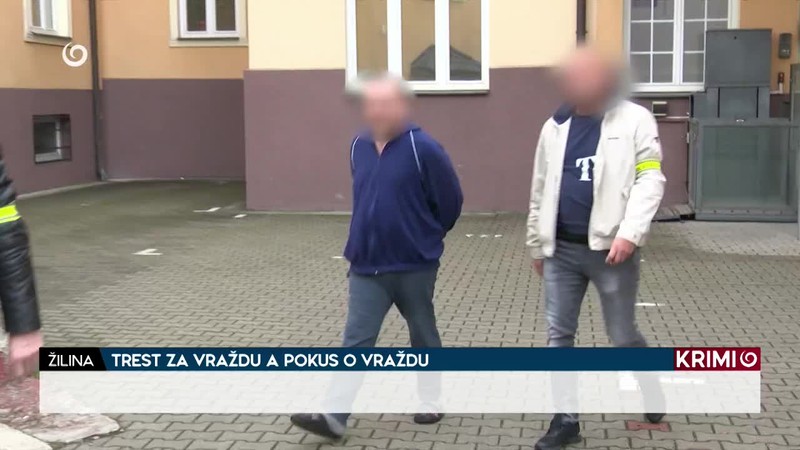 TREST ZA VRAŽDU A POKUS O VRAŽDU