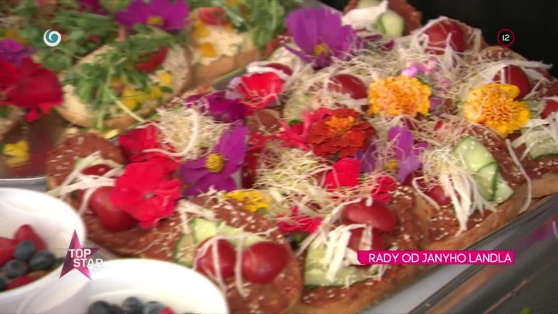 Rady od Janyho Landla