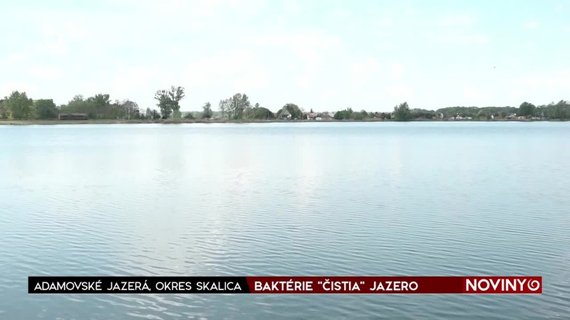 BAKTÉRIE "ČISTIA" JAZERO