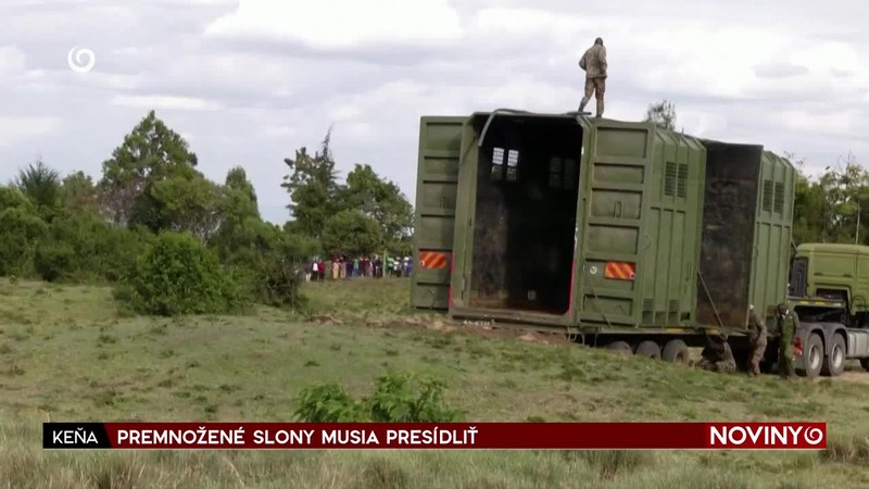 PREMNOŽENÉ SLONY MUSIA PRESÍDLIŤ