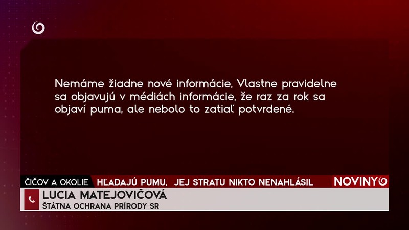 HĽADAJÚ PUMU,  JEJ STRATU NIKTO NENAHLÁSIL