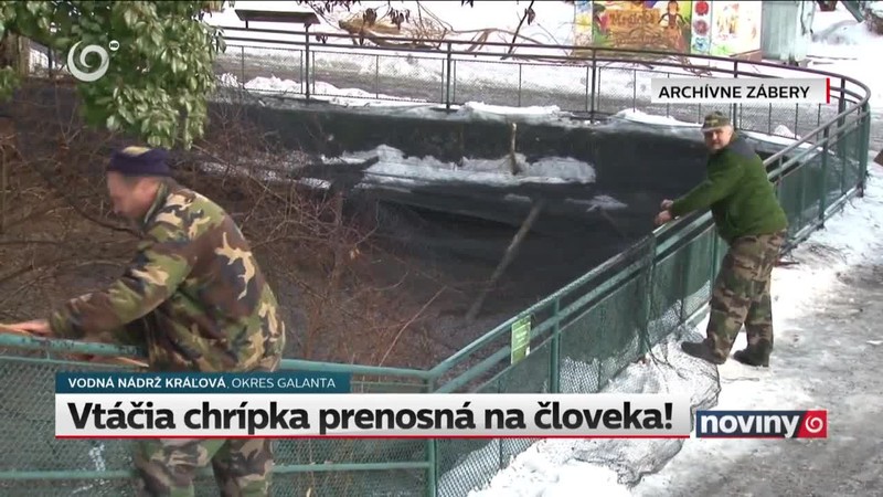 Vtáčia chrípka prenosná na človeka!