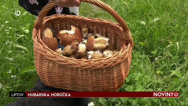 HUBÁRSKA HORÚČKA