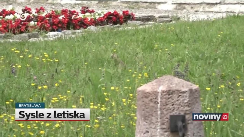 Sysle z letiska