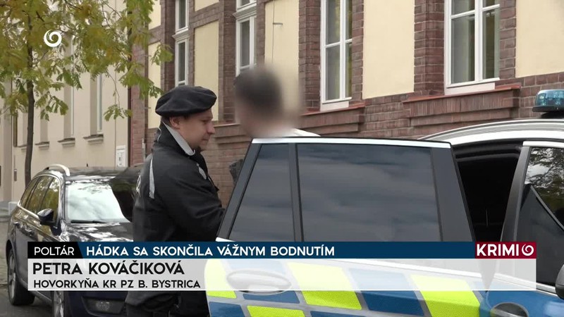 HÁDKA SA SKONČILA VÁŽNYM BODNUTÍM