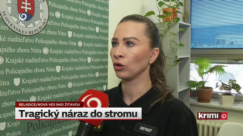 Tragický náraz do stromu
