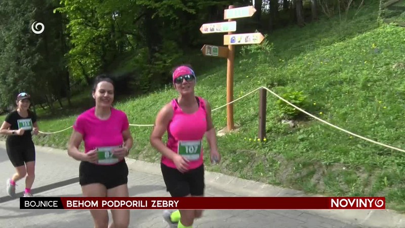 BEHOM PODPORILI ZEBRY
