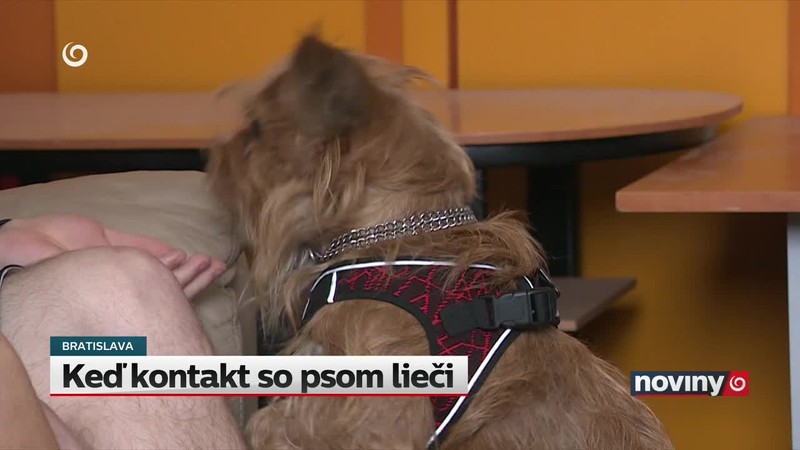 Keď kontakt so psom lieči