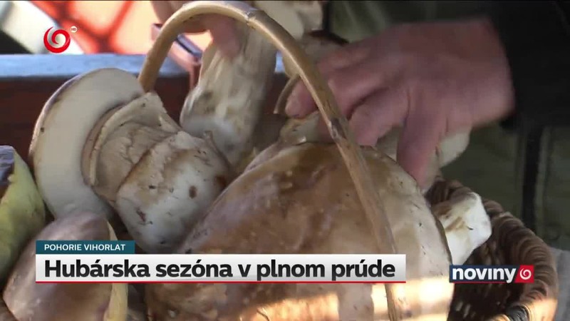 Hubárska sezóna v plnom prúde