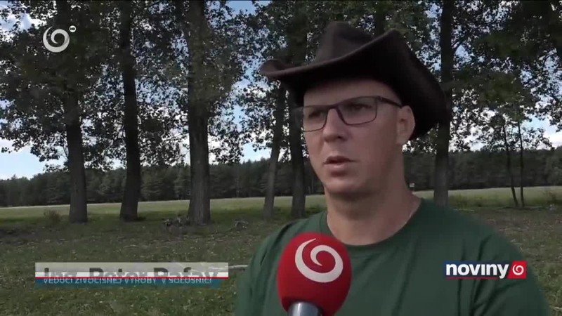 Blesk zabil 5 kráv